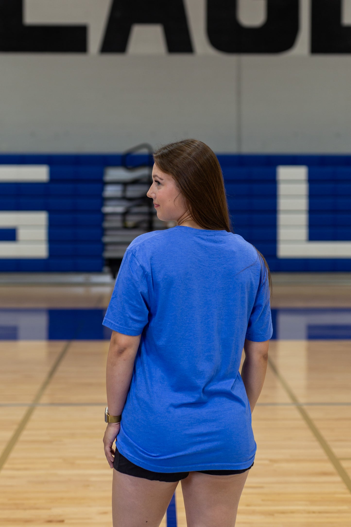 Royal Mist Tee - Eagles - (Gildan Soft Style)